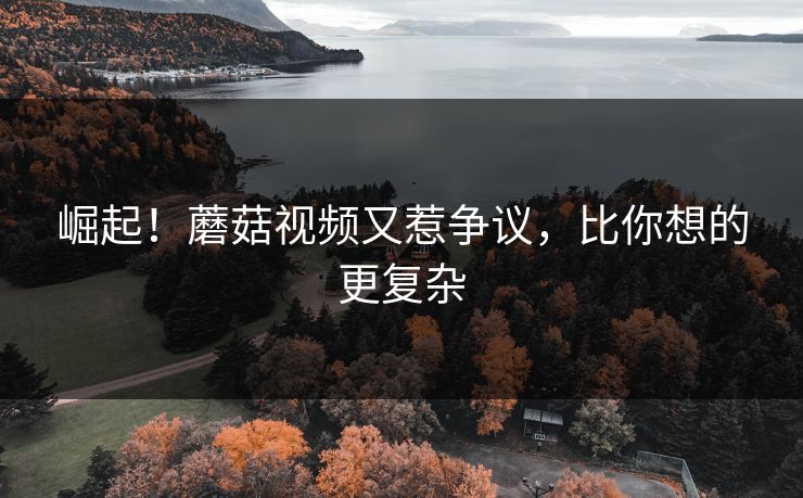 崛起！蘑菇视频又惹争议，比你想的更复杂