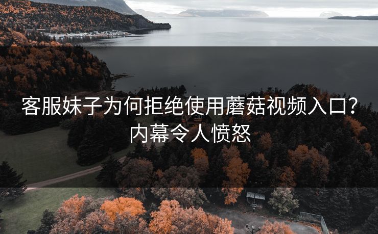 客服妹子为何拒绝使用蘑菇视频入口？内幕令人愤怒