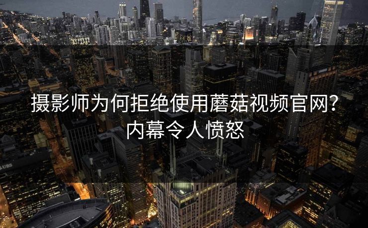 摄影师为何拒绝使用蘑菇视频官网？内幕令人愤怒