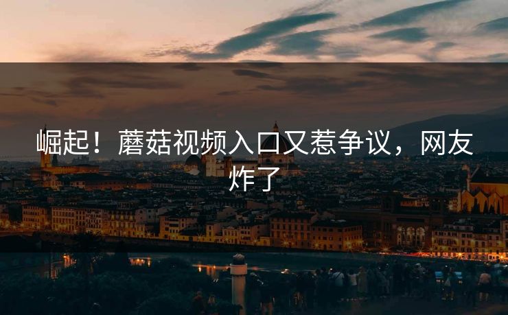 崛起！蘑菇视频入口又惹争议，网友炸了