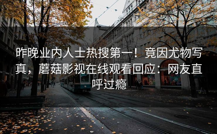 昨晚业内人士热搜第一！竟因尤物写真，蘑菇影视在线观看回应：网友直呼过瘾