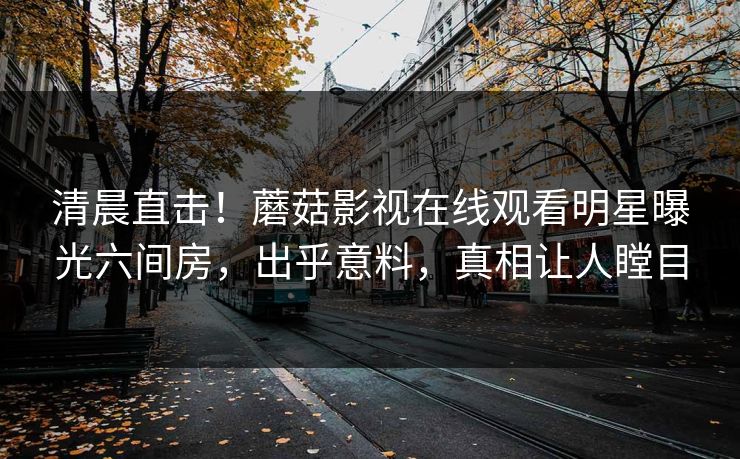 清晨直击！蘑菇影视在线观看明星曝光六间房，出乎意料，真相让人瞠目