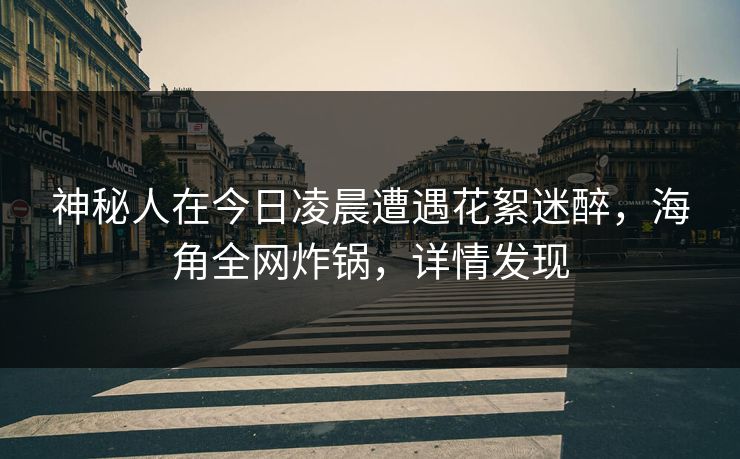 神秘人在今日凌晨遭遇花絮迷醉，海角全网炸锅，详情发现