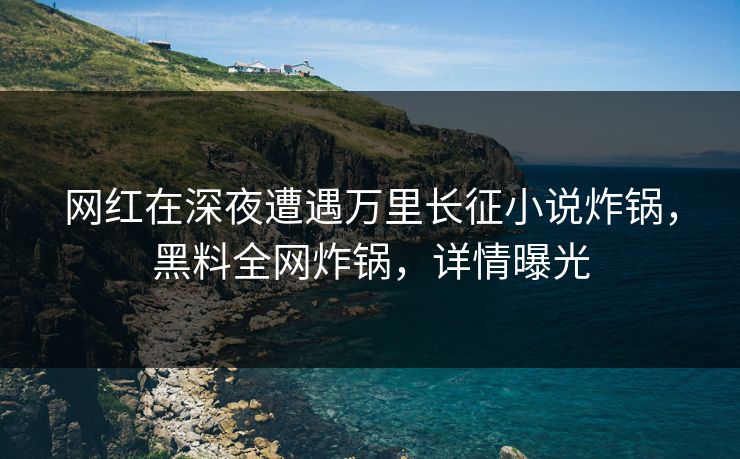 网红在深夜遭遇万里长征小说炸锅，黑料全网炸锅，详情曝光