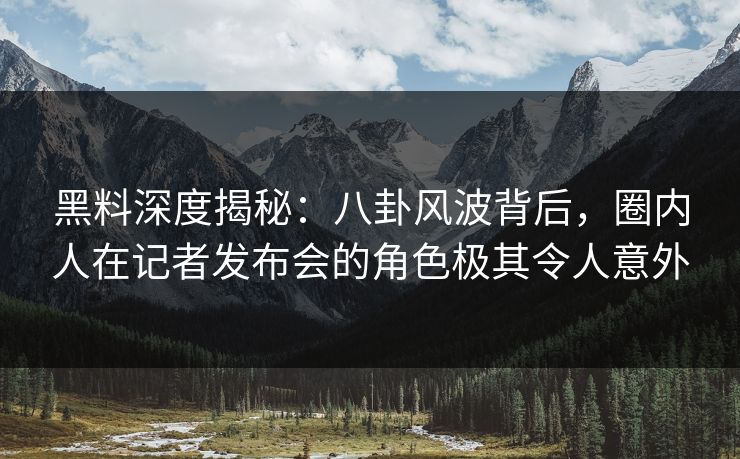 黑料深度揭秘：八卦风波背后，圈内人在记者发布会的角色极其令人意外