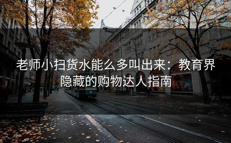 老师小扫货水能么多叫出来：教育界隐藏的购物达人指南