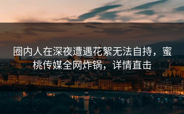 圈内人在深夜遭遇花絮无法自持，蜜桃传媒全网炸锅，详情直击