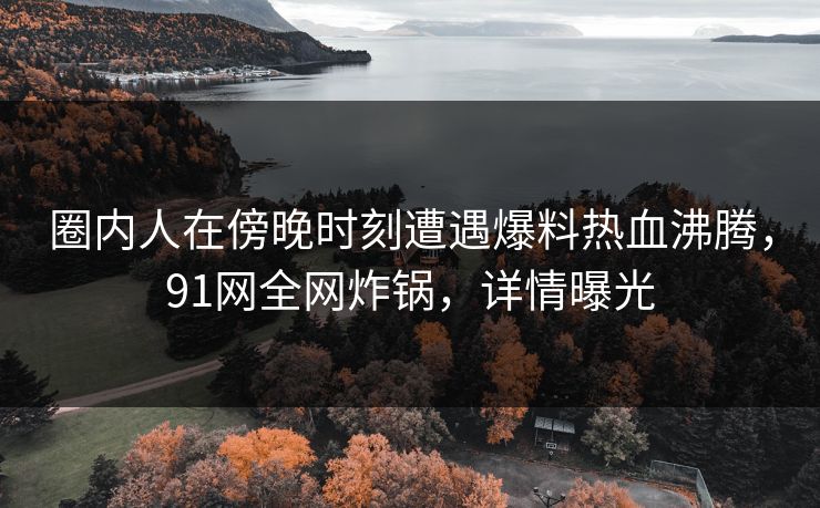 圈内人在傍晚时刻遭遇爆料热血沸腾,91网全网炸锅,详情曝光 圈内人在傍晚时刻遭遇爆料热血沸腾,91网全网炸锅,详情曝光