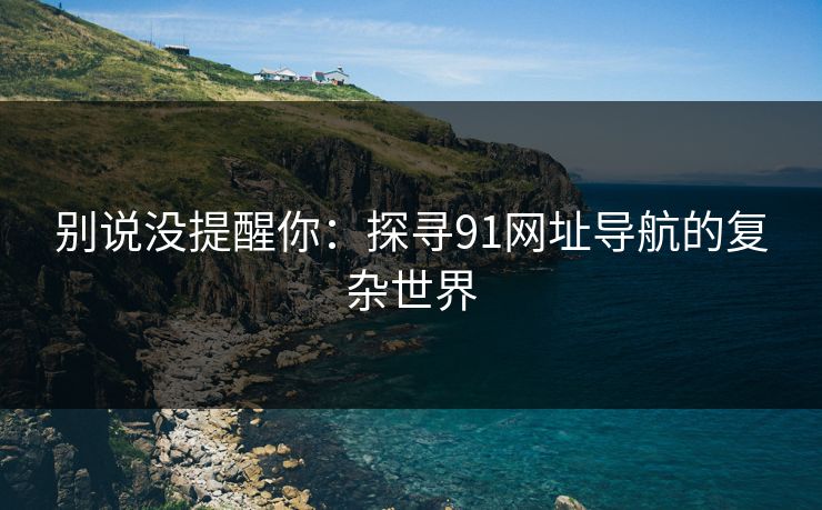 别说没提醒你：探寻91网址导航的复杂世界